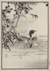 Bairei hyakuchō gafu. Ten Pl.25