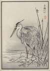 Bairei hyakuchō gafu. Ten Pl.28