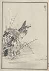 Bairei hyakuchō gafu. Ten Pl.29