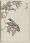 Bairei hyakuchō gafu. Ten Pl.32