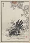 Bairei hyakuchō gafu. Ten Pl.33