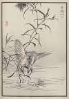 Bairei hyakuchō gafu. Ten Pl.34
