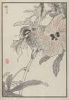 Bairei hyakuchō gafu. Ten Pl.36