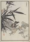 Bairei hyakuchō gafu. Ten Pl.37