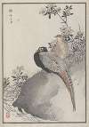 Bairei hyakuchō gafu. Ten Pl.42