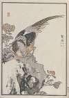 Bairei hyakuchō gafu. Ten Pl.43