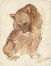 A sketch of a bear