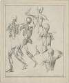 Diverse anatomische tekeningen: skelet, spieren, etc