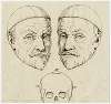 Kop van Willem van Oranje: beeld, spiegelbeeld, schedel