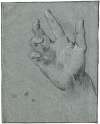 Study of a hand