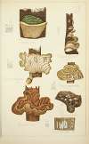 Histoire naturelle des champignons Pl.60