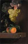 Still Life with Fruit, Lizard and Insects