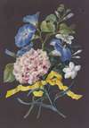 Blumengebinde Mit Rosa Nelke (Dianthus), Blauer Winde (Convolvulus) Und Weißem Jasmin (Jasminum), Mit Rotschwarz Getreiftem Käfer, Libelle Und Fliege