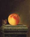 Still Life With Apple And Insects