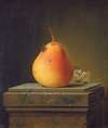 Still Life With Pear And Insects