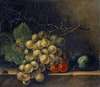 Still Life With Grapes, Stone Fruit And Fly