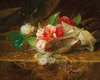 Still life with camellia, a shell and a lace doily