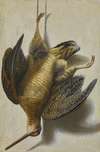 A trompe l’oeil with a woodcock hanging before a wall