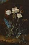 Still Life With Tulips And Hyacinth