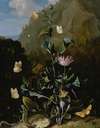 Still life of a thistle and other flowers surrounded by moths, a dragonfly, a lizard and a snake, in a landscape
