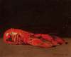 Still Life of Lobster