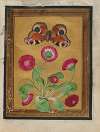 Paintings of Flowers, Butterflies, and Insects Pl.1