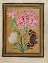 Paintings of Flowers, Butterflies, and Insects Pl.5