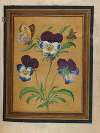 Paintings of Flowers, Butterflies, and Insects Pl.7