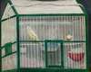Cage with a canary