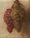 Still Life with Hanging Grapes