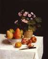 Still life (primroses, pears and promenates)