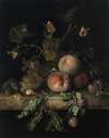 Peaches, grapes and plums with a dragonfly, snail, caterpillar, butterfly and other insects on a stone ledge