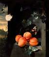 Still Life with Apricotes and Butterflies