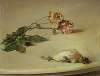 Dead Bird and Two Roses on a Table Board