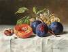 Still Life with Peaches, Red Grapes, Hazelnuts and a Wasp.