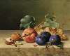 Still Life with Two Walnuts, Plums, Grapes, a Peach on a Branch and a Fly