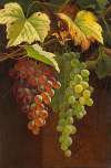 Two Bunches of Grapes