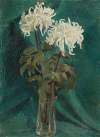 Chrysanthemums