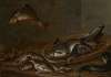 Freshwater fish, an eel and a frog, on a table