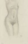 Female nude (torso) from the front, ca. 1935