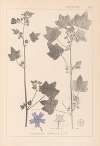 Herbier de la flore française Pl.0046