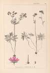 Herbier de la flore française Pl.0057
