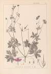 Herbier de la flore française Pl.0064