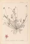 Herbier de la flore française Pl.0091