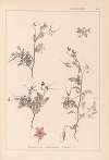 Herbier de la flore française Pl.0093