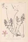 Herbier de la flore française Pl.0095