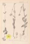 Herbier de la flore française Pl.0112