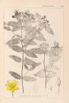 Herbier de la flore française Pl.0116