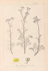 Herbier de la flore française Pl.0134