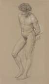 Standing male nude.